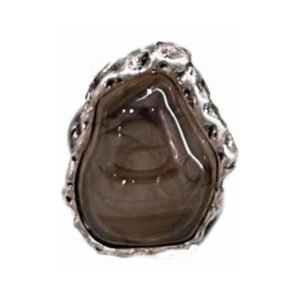 Organic - Shape Silver - Tone Ring with Brown Agate - Like Gem